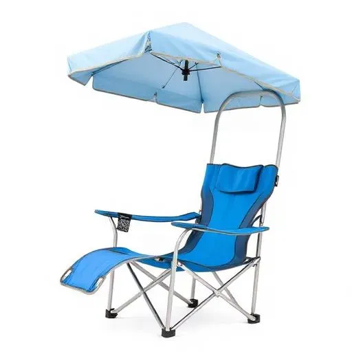 Beach Chair with Canopy